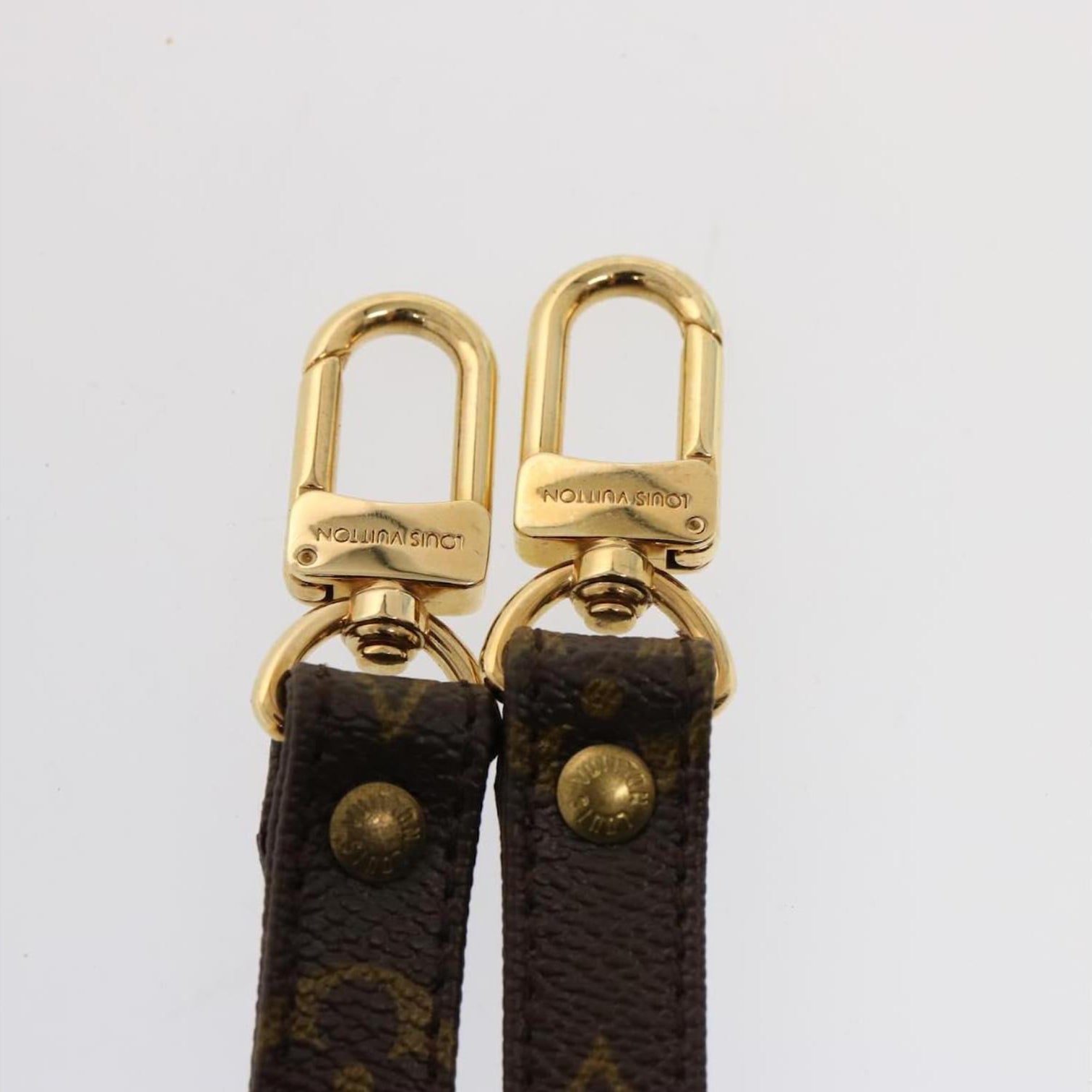 La Bandoulière Monogramme Louis Vuitton Sorayae