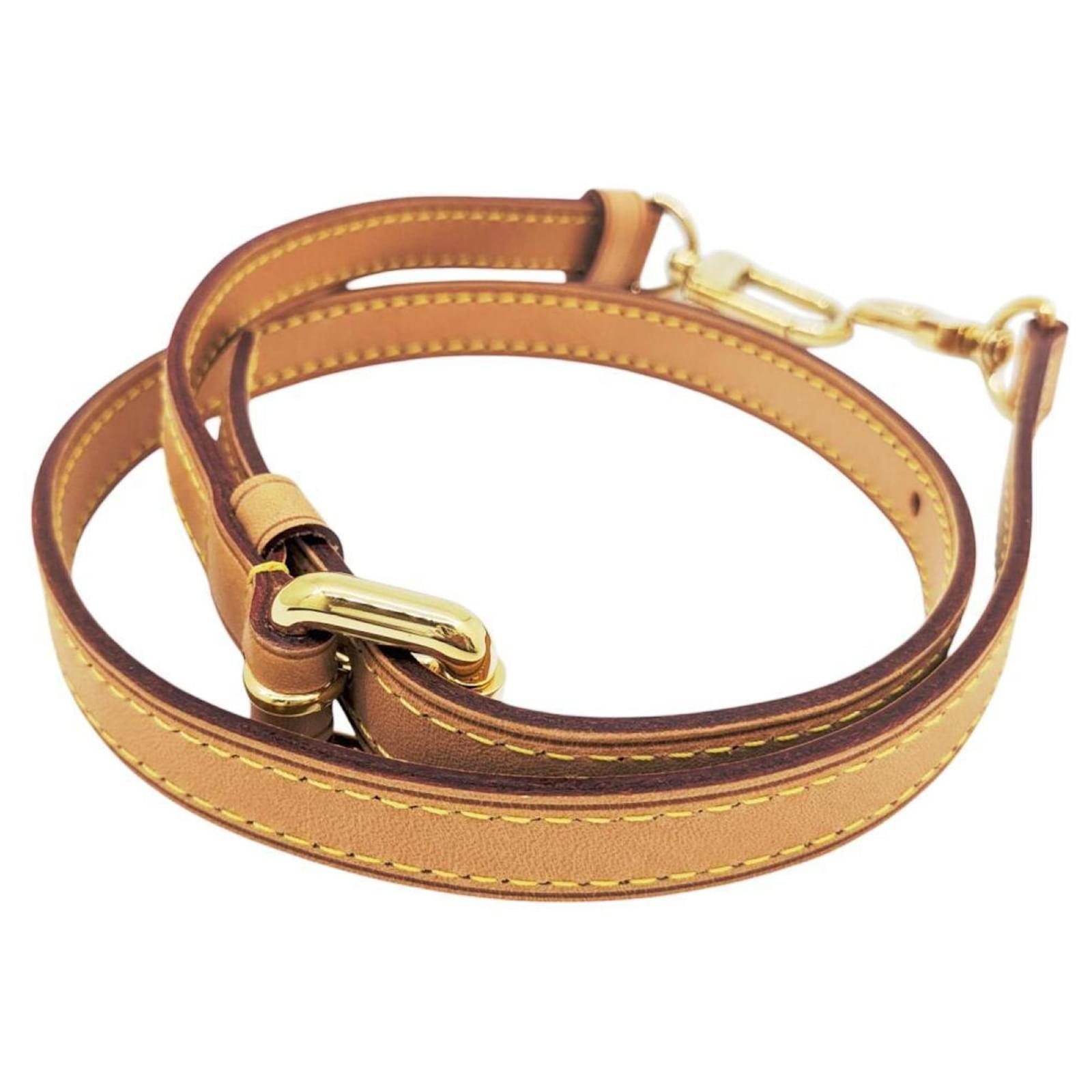 La Bandoulière Louis Vuitton