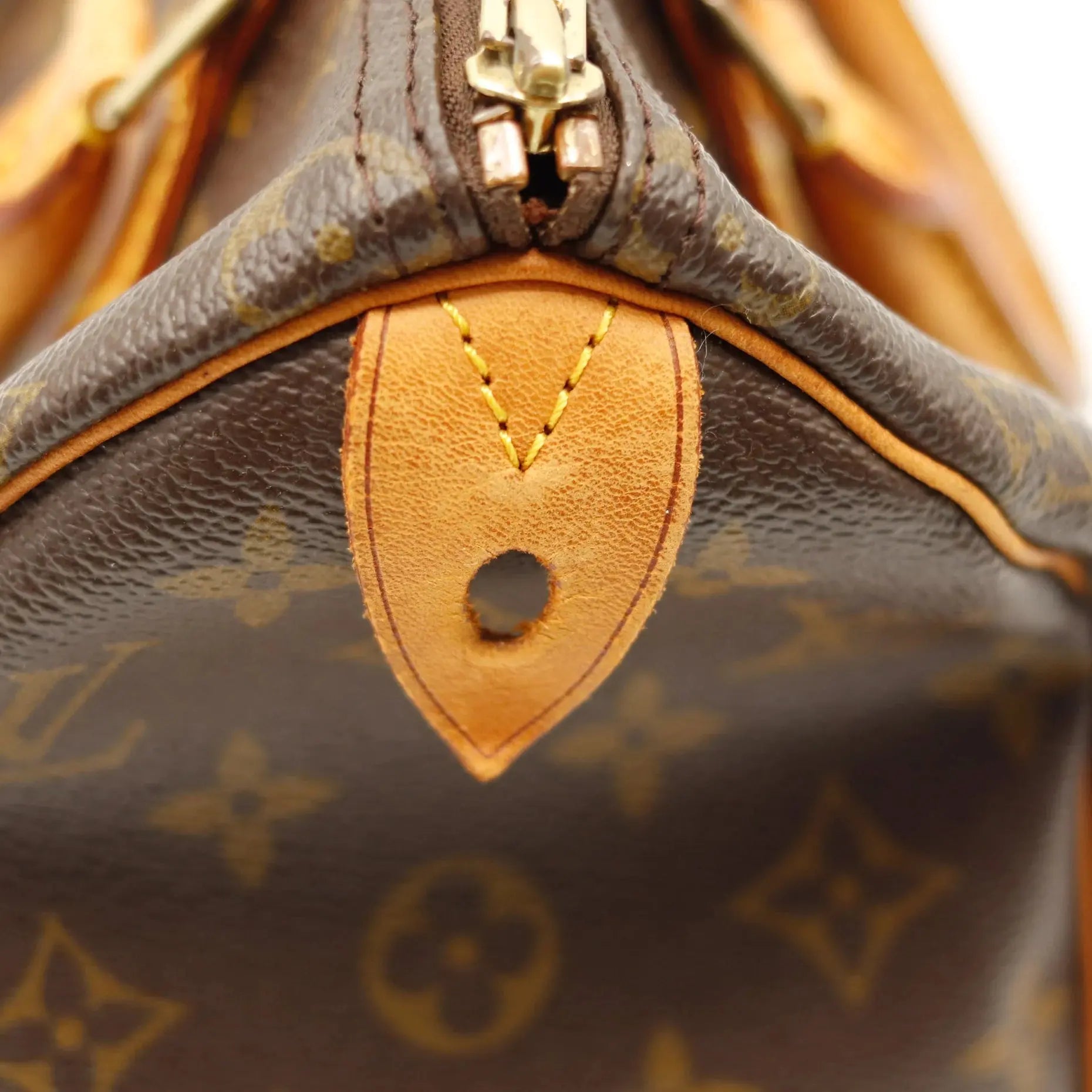 Le Speedy 25 Louis Vuitton Sorayae