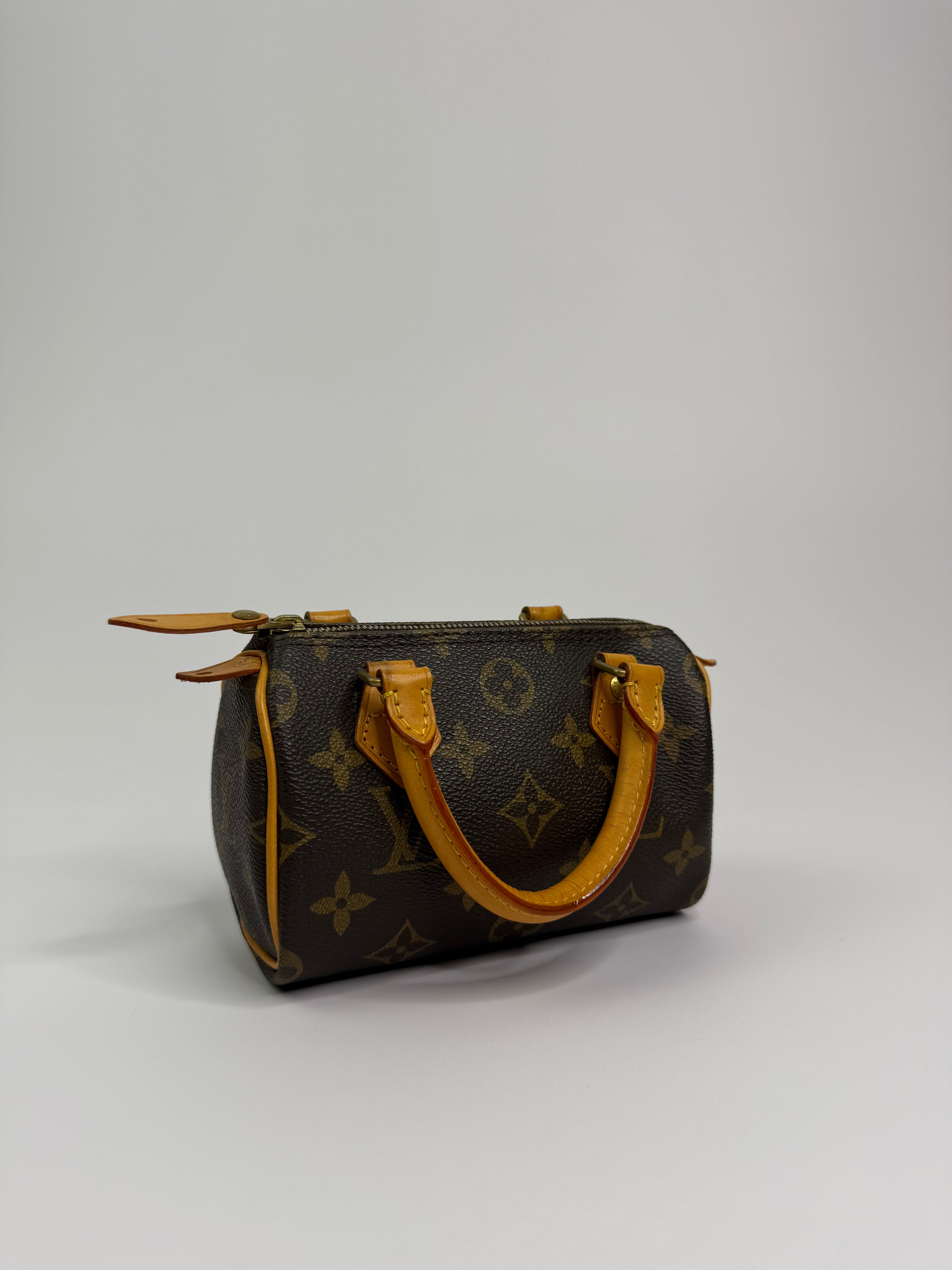 Le Speedy Nano Louis Vuitton