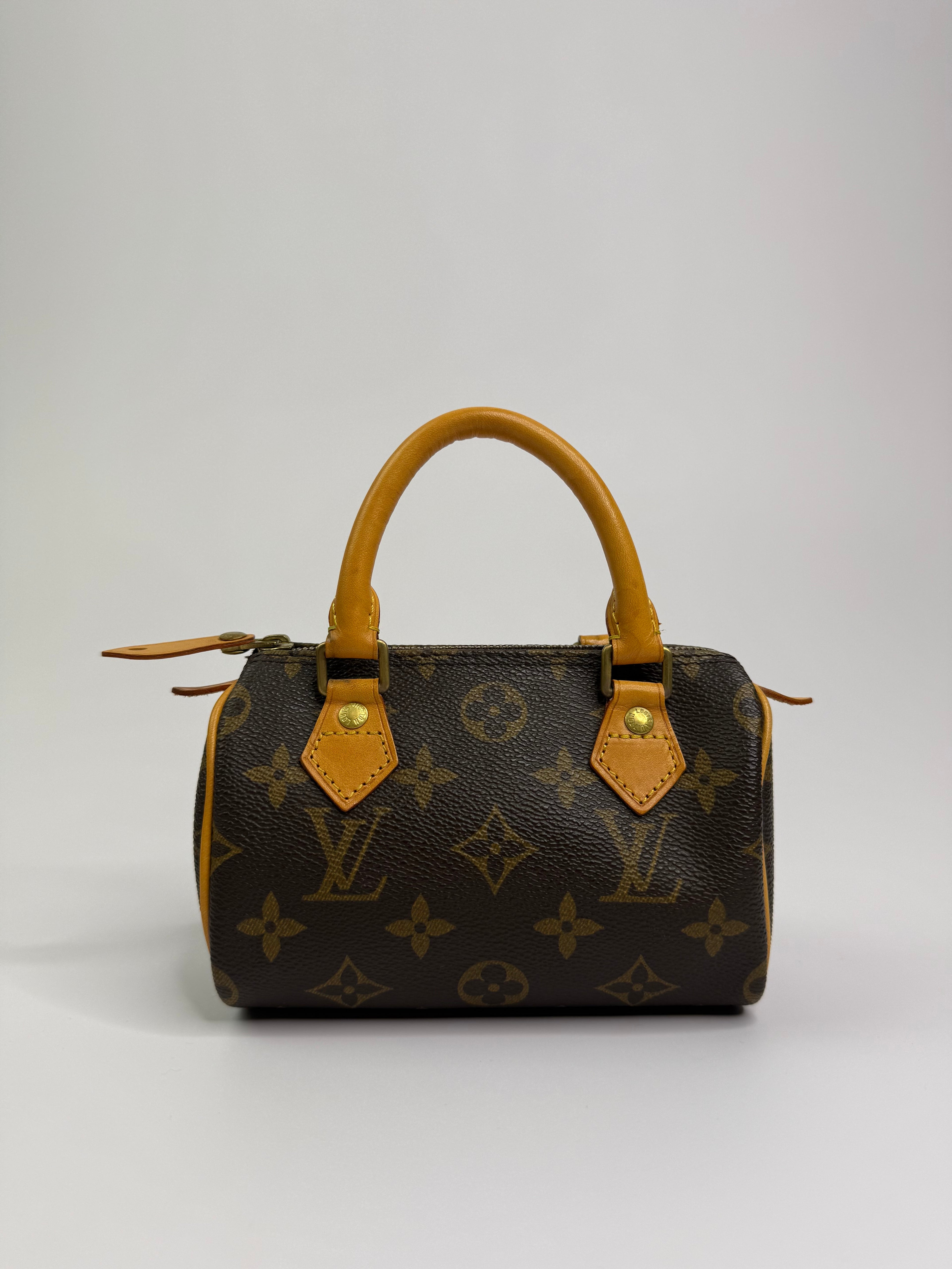 Le Speedy Nano Louis Vuitton
