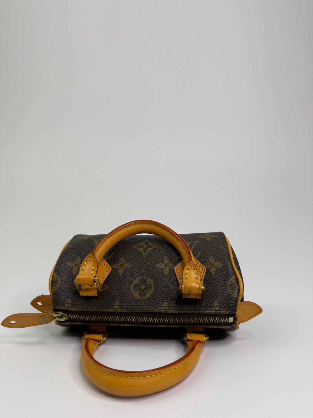 Le Speedy Nano Louis Vuitton