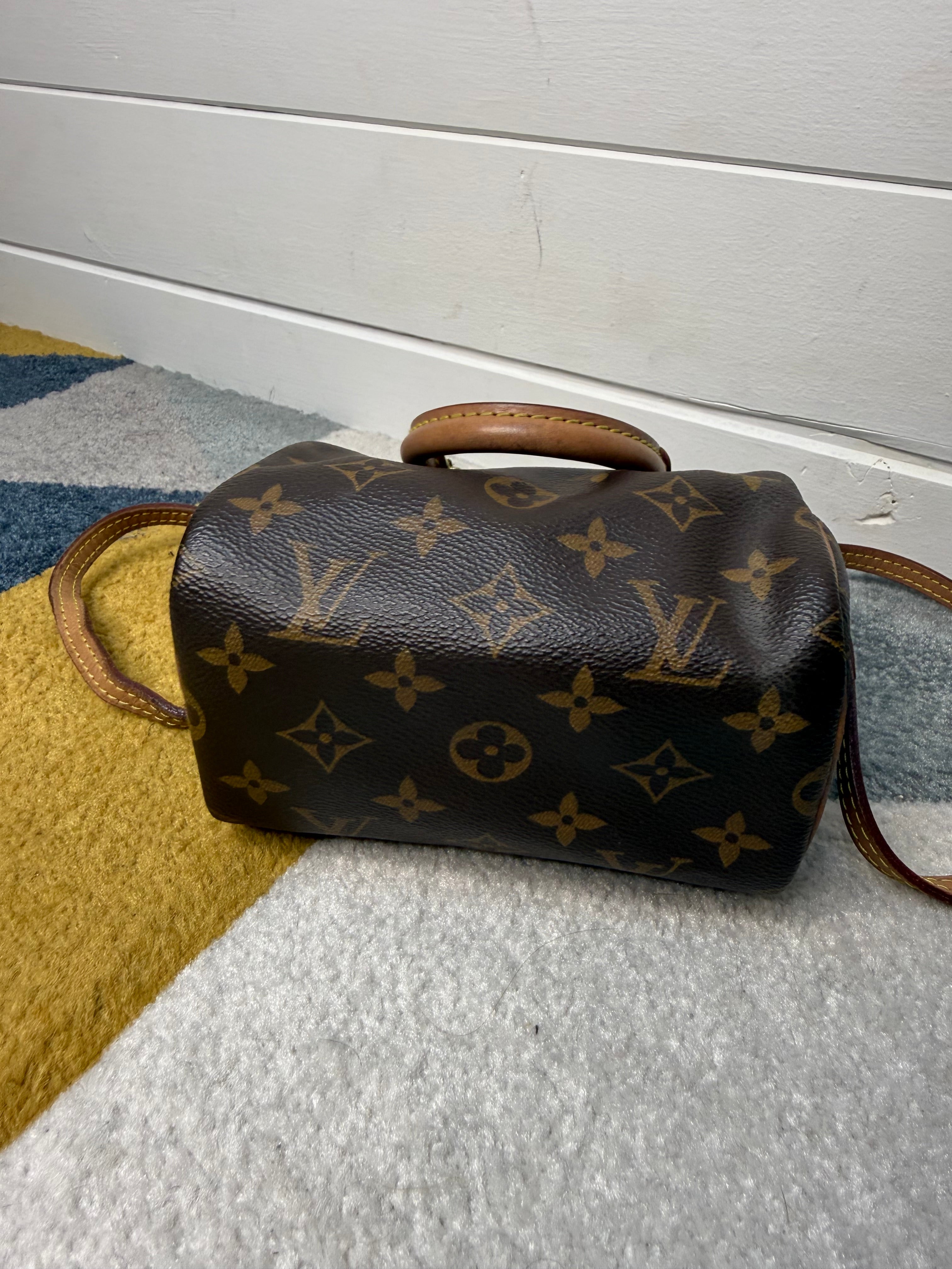 Le Speedy Nano Louis Vuitton