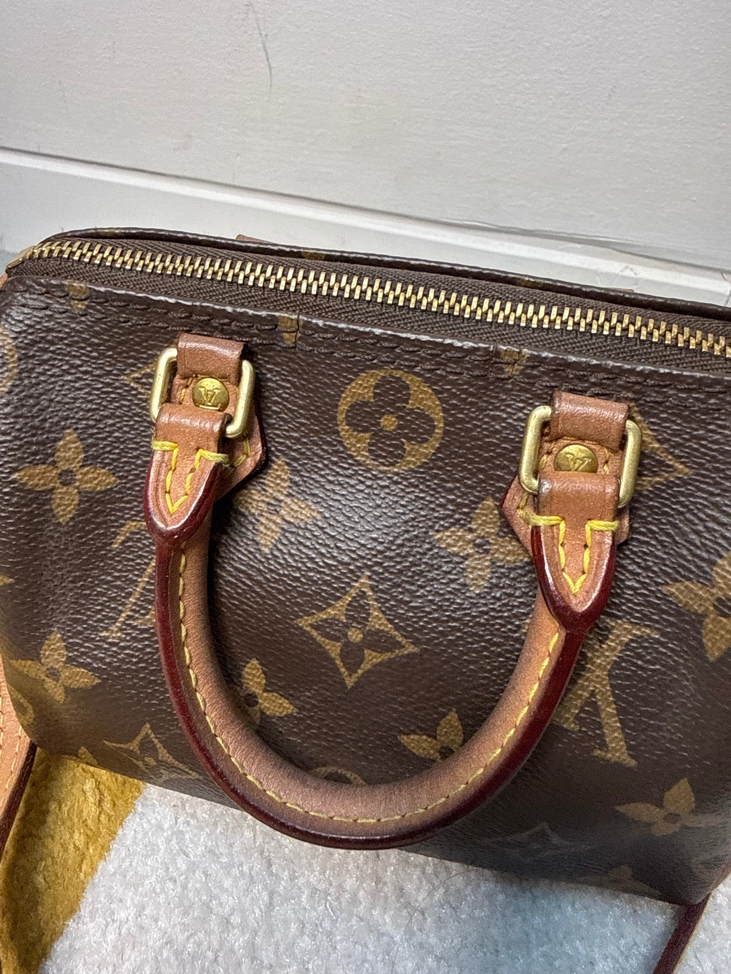 Le Speedy Nano Louis Vuitton