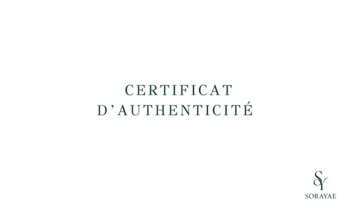 Carte d’authenticité Louis Vuitton, accessoire original de sac de luxe d’occasion disponible chez Sorayae