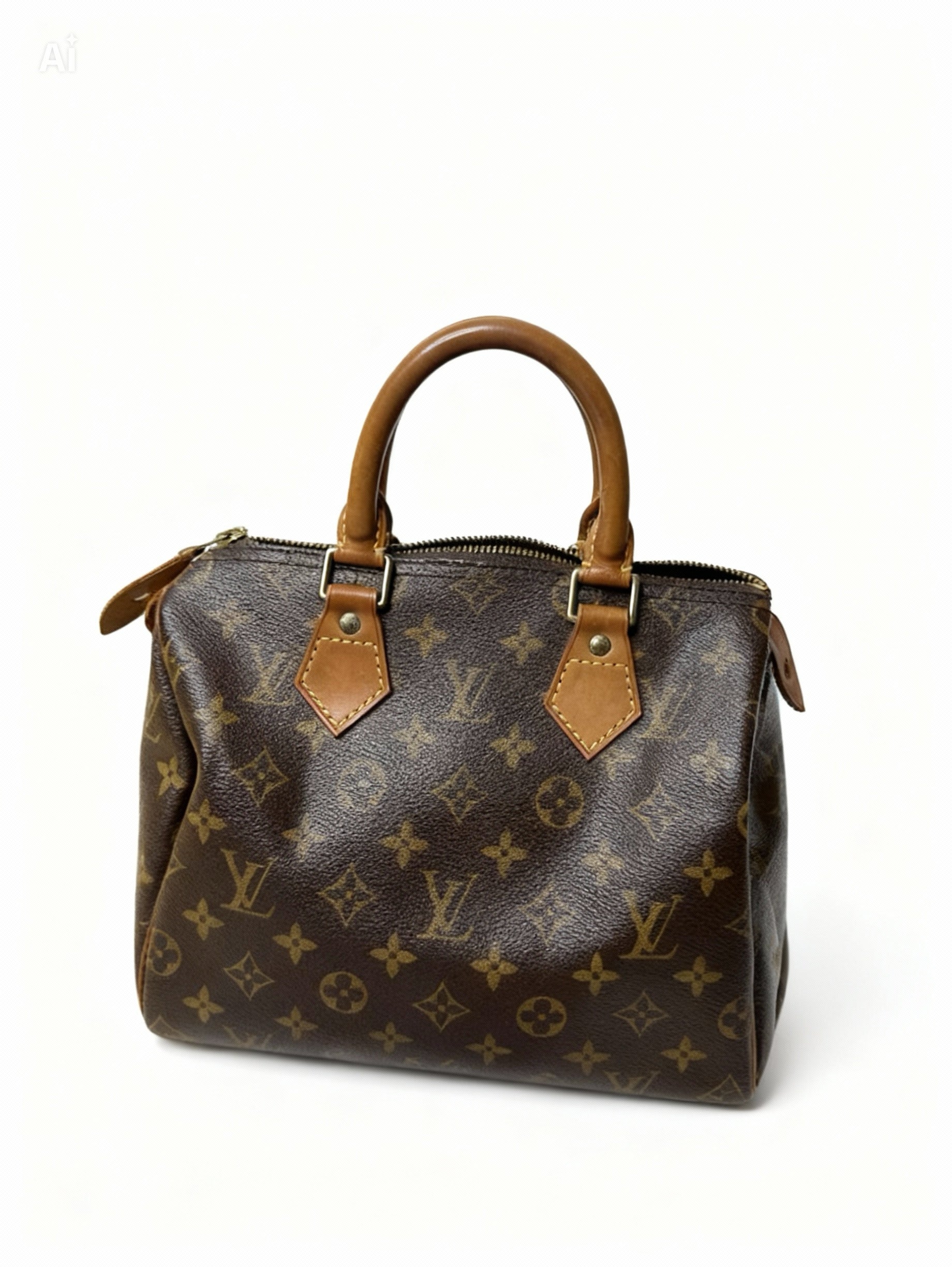 Le Speedy 25 Louis Vuitton